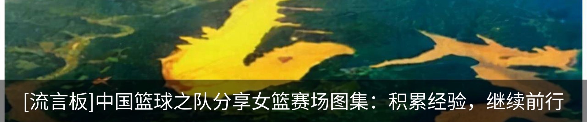 新闻动态